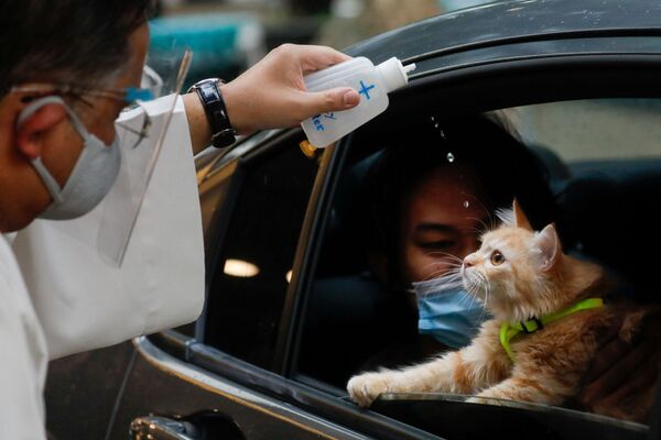 Linh mục vẩy nước thánh lên một con mèo trong Ngày Động vật Thế giới, thành phố Quezon - Sputnik Việt Nam