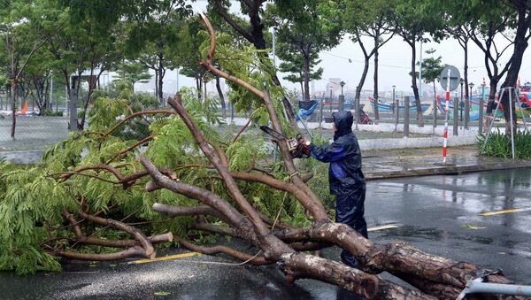 Xử lý các cây xanh bị ngã đổ ra đường gây ách tắc giao thông tại quận Sơn Trà. - Sputnik Việt Nam