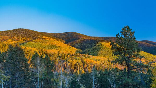 Mùa thu trên đèo Boreas Pass ở Colorado - Sputnik Việt Nam