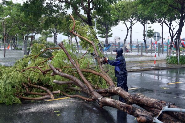 Xử lý các cây xanh bị ngã đổ ra đường gây ách tắc giao thông tại quận Sơn Trà, Đà Nẵng - Sputnik Việt Nam