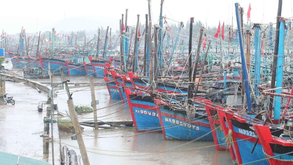 Tàu thuyền neo đậu tránh trú bão số 7 tại cảng Lạch Thơi, xã Sơn Hải, huyện Quỳnh Lưu. - Sputnik Việt Nam