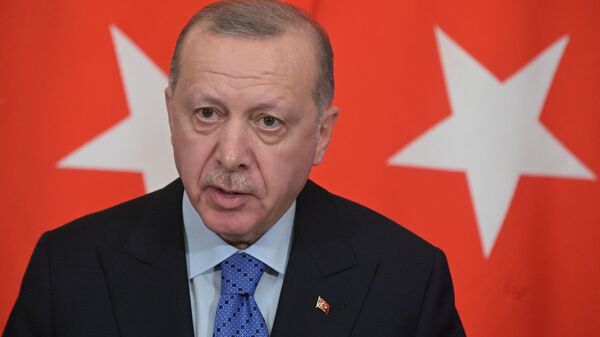 Tổng thống Thổ Nhĩ Kỳ Recep Tayyip Erdogan trong cuộc tiếp cận báo chí chung với Tổng thống Nga Vladimir Putin sau cuộc hội đàm Nga-Thổ Nhĩ Kỳ - Sputnik Việt Nam
