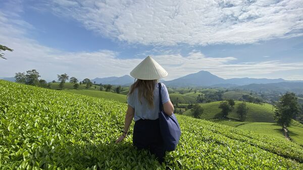 Cô gái đội nón trên nền đồi chè Long Cốc - Sputnik Việt Nam