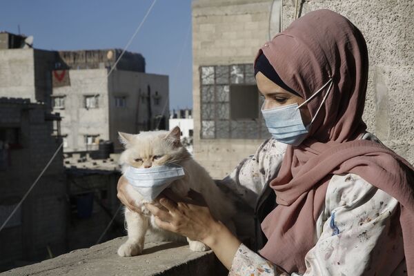 Nữ hoạ sĩ Palestine Khulud al-Desouki với con mèo trong thời gian cách ly ở Khan Yunis phía nam Dải Gaza  - Sputnik Việt Nam