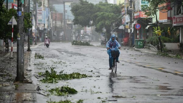 Cành cây gãy đổ khi gió giật ở Việt Nam  - Sputnik Việt Nam