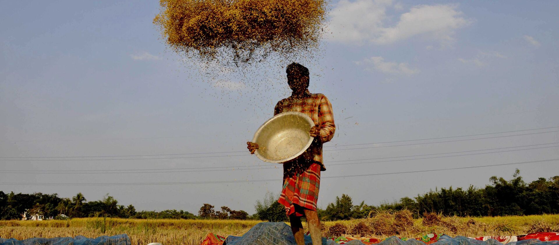 Một nông dân sàng gạo ở ngoại ô thành phố Agartala, Ấn Độ - Sputnik Việt Nam, 1920, 01.11.2020