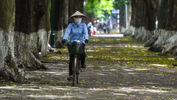 Người đi xe đạp đeo khẩu trang y tế ở Hà Nội - Sputnik Việt Nam