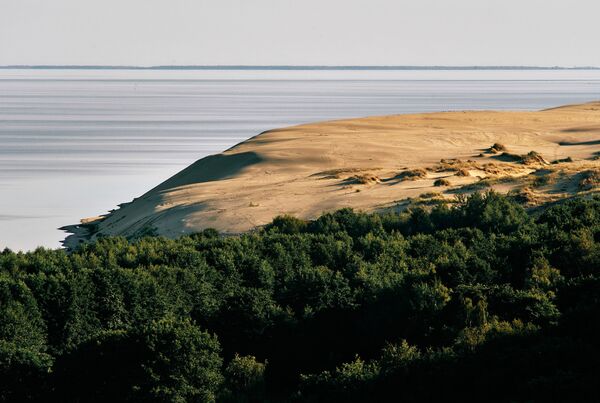 Quang cảnh cồn cát từ đỉnh kè Efa trong Vườn quốc gia Mũi đất Kursh ở  tỉnh Kaliningrad - Sputnik Việt Nam