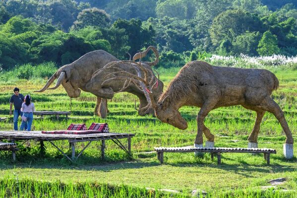 Các con vật bằng rơm ở công viên giải trí gần Chiang Mai, Thái Lan - Sputnik Việt Nam