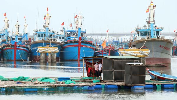 Lồng bè và tàu thuyền của ngư dân Ninh Thuận đã được neo đậu tránh bão tại cảng cá Ninh Chử, thành phố Phan Rang-Tháp Chàm. - Sputnik Việt Nam