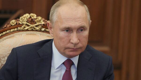Tổng thống Nga Vladimir Putin. - Sputnik Việt Nam