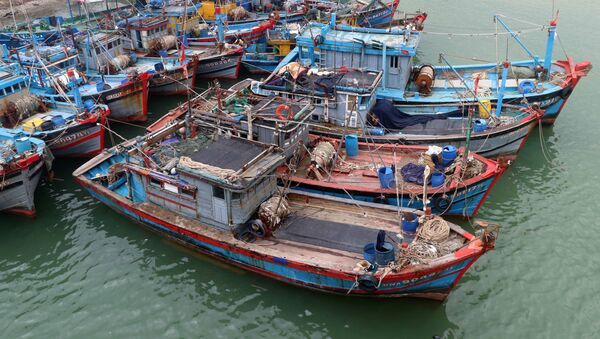 Tàu cá của ngư dân các tỉnh, thành phố Khu vực miền Trung về neo đậu tránh bão số 10 tại Âu thuyền Thọ Quang (Đà Nẵng). - Sputnik Việt Nam