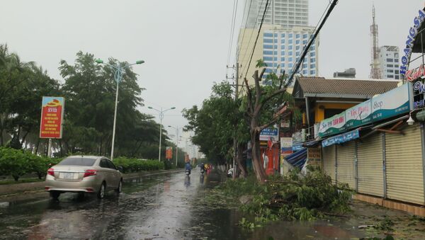 Lực lượng vệ sinh môi trường đô thị Nha Trang tiến hành dọn dẹp đường phố sau bão.  - Sputnik Việt Nam