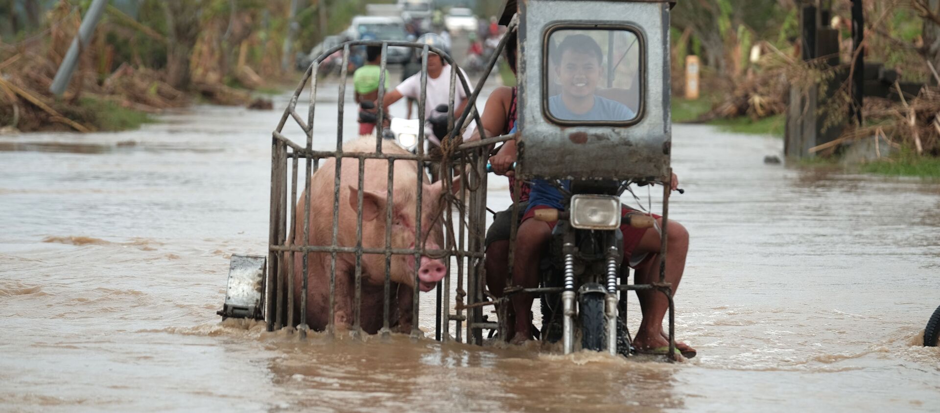 Người lái xe mô tô chở lợn dọc theo con đường ngập lụt do bão Vamco ở tỉnh Albay, Philippines - Sputnik Việt Nam, 1920, 19.11.2020