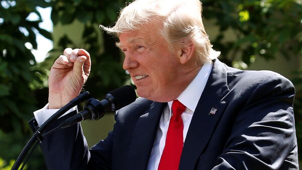 Tổng thống Mỹ Donald Trump tại Washington - Sputnik Việt Nam