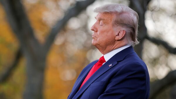 Tổng thống Mỹ Donald Trump  - Sputnik Việt Nam