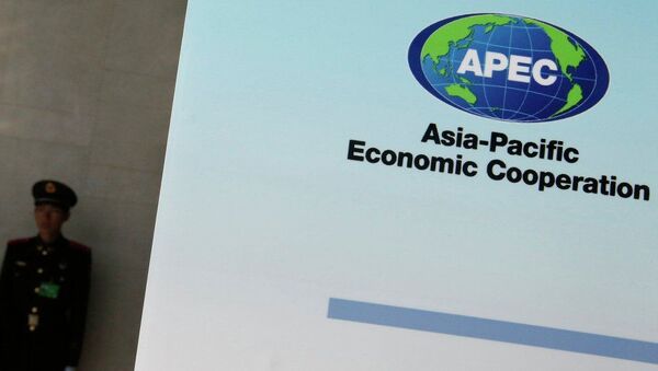 Logo hội nghị cấp cao APEC - Sputnik Việt Nam