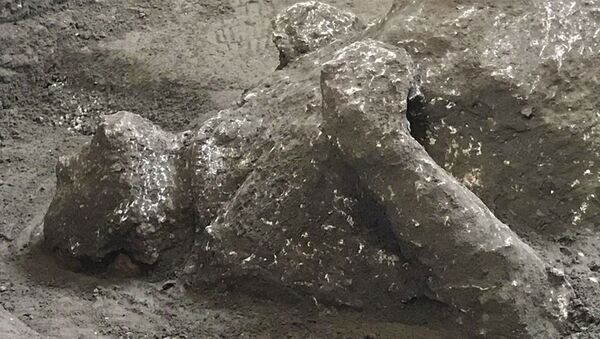 Phát hiện thi thể hai nạn nhân vụ núi lửa phun trào ở Pompeii - Sputnik Việt Nam