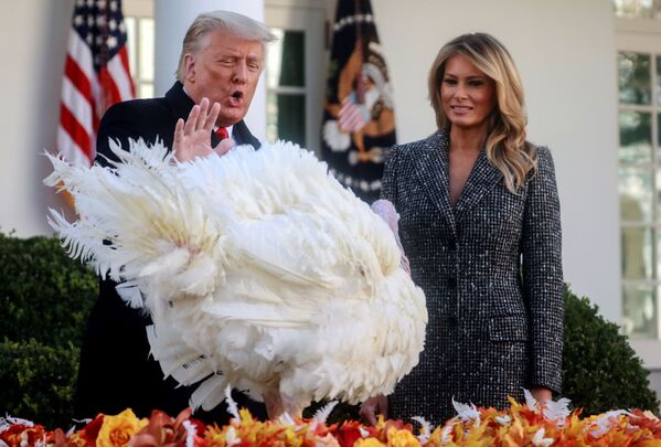Lễ ân xá cho gà tâycủa Tổng thống Donald Trump và Melania Trump tại Nhà Trắng - Sputnik Việt Nam