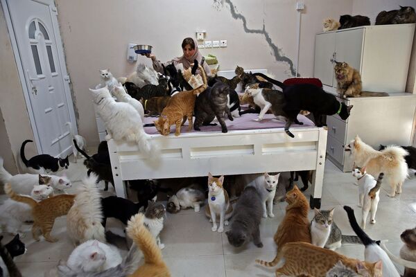 Maryam Al Balushi nuôi thú cưng tại nhà riêng, thủ đô Muscat, Oman - Sputnik Việt Nam