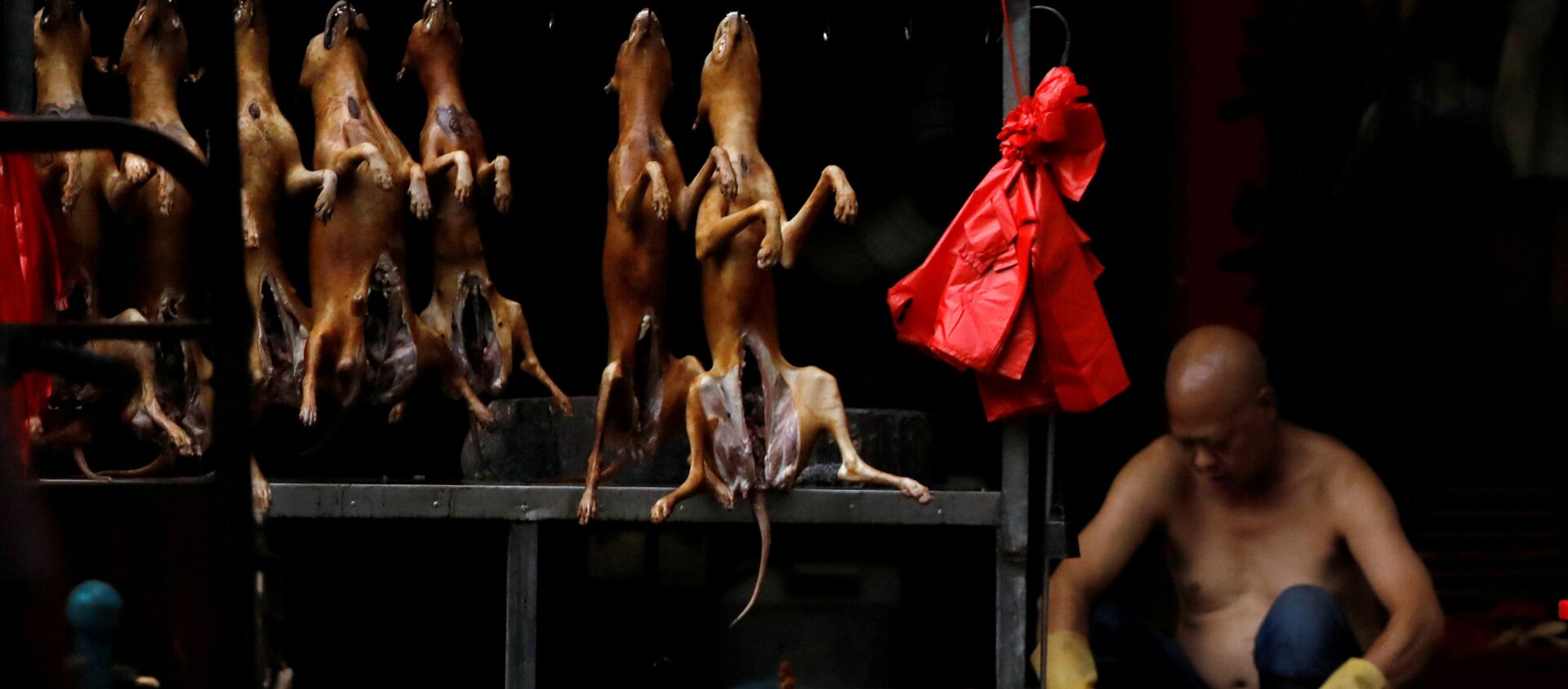 Người bán thịt chó, Trung Quốc - Sputnik Việt Nam, 1920, 29.11.2020
