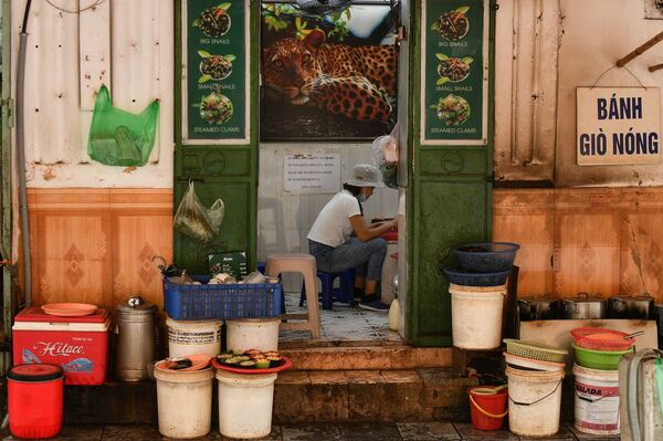 2020 – Năm rực rỡ chiến thắng của Việt Nam 2020 – Năm rực rỡ chiến thắng của Việt Nam - Sputnik Việt Nam