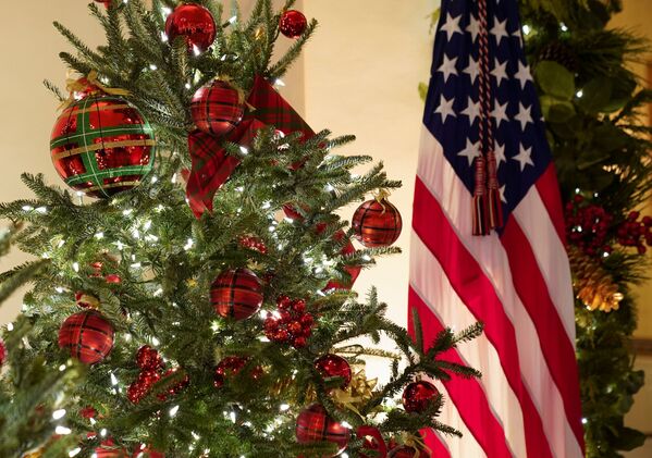 Quốc kỳ Mỹ và cây thông Giáng sinh tại Nhà Trắng - Sputnik Việt Nam