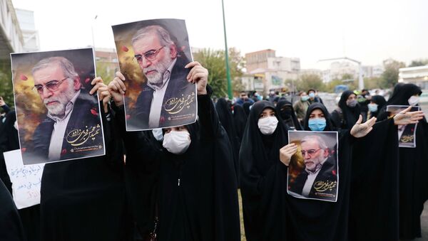 Cuộc biểu tình ở Teheran liên quan đến vụ ám sát nhà khoa học Iran Mohsen Fakhrizadeh - Sputnik Việt Nam