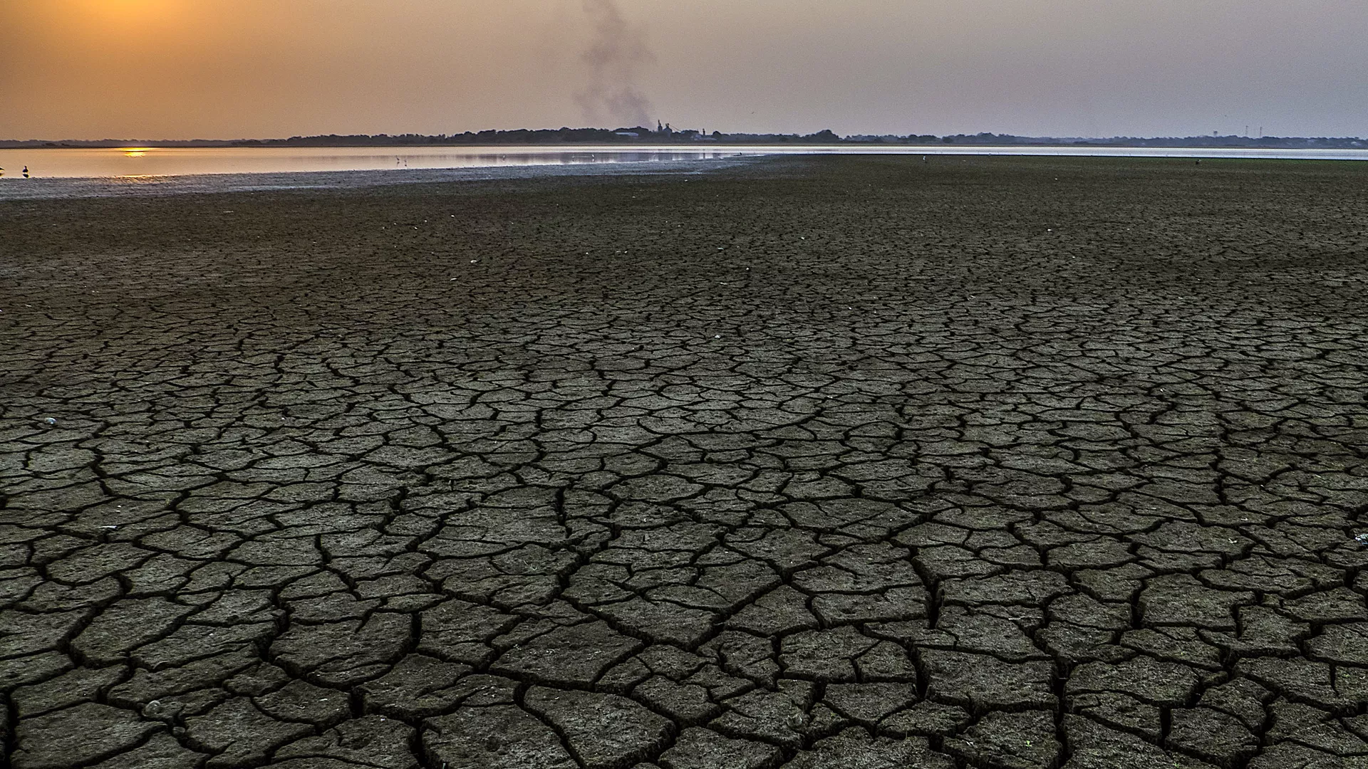 Hạn hán. Ảnh hưởng của El Niño - Sputnik Việt Nam, 1920, 09.06.2023