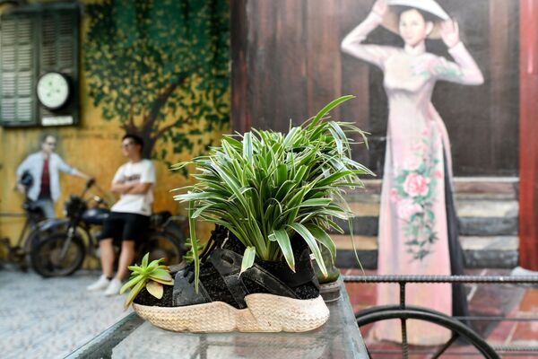 Giày thể thao cũ biến thành chậu trồng hoa tại Hidden Gem Coffee ở Hà Nội - Sputnik Việt Nam