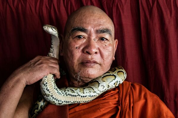 Nhà sư với rắn trong ngôi chùa Phật giáo ở Myanmar - Sputnik Việt Nam