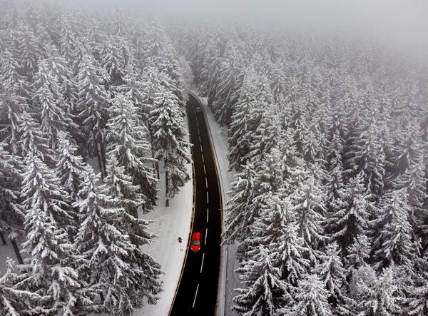 Một chiếc ô tô trên con đường băng qua khu rừng tuyết gần Frankfurt, Đức - Sputnik Việt Nam