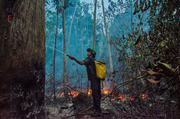 Dập tắt cháy rừng ở Brazil - Sputnik Việt Nam