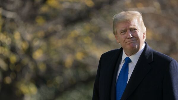 Tổng thống Donald Trump đi dạo trên Bãi cỏ phía Nam của Nhà Trắng ở Washington, Chủ nhật, ngày 29 tháng 11 năm 2020, sau khi rời Marine One. Trump đang trở về từ Trại David - Sputnik Việt Nam