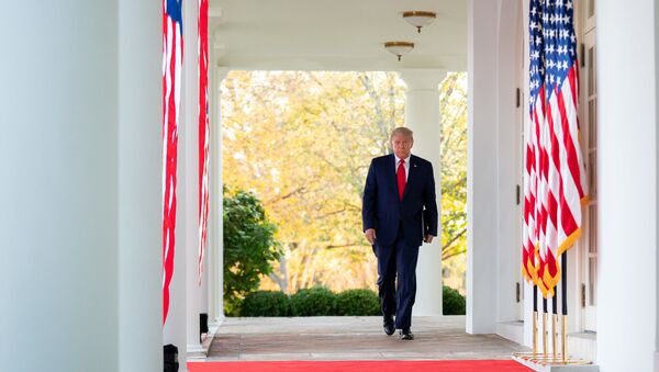 Tổng thống Donald Trump tại Nhà Trắng ở Washington, Mỹ - Sputnik Việt Nam