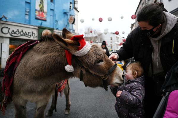 Cô bé với con lừa trên phố mua sắm ở Galway, Ireland - Sputnik Việt Nam