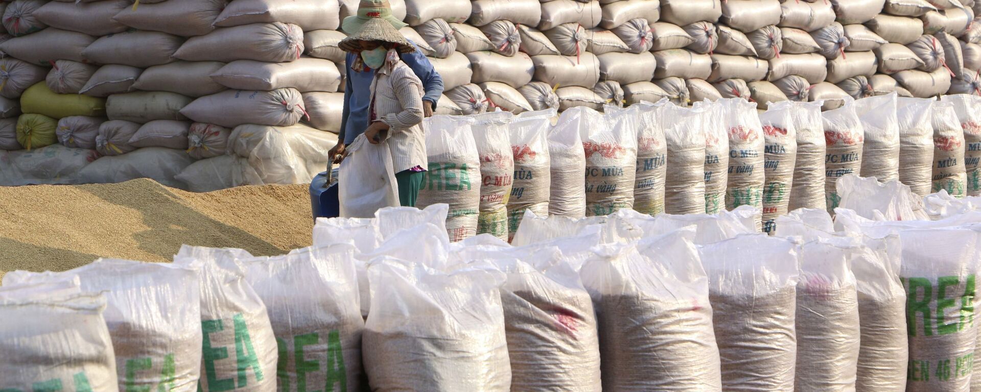 Xuất khẩu gạo của Việt Nam tiếp tục đạt mức giá cao kỷ lục, năm 2020, kim ngạch ước đạt trên 3 tỉ USD. - Sputnik Việt Nam, 1920, 13.01.2021