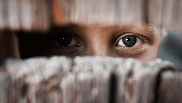 Đứa trẻ nhìn qua khe hở trên hàng rào. - Sputnik Việt Nam