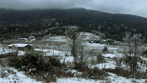Tuyết rơi phủ trắng làng bản tại xã Y Tý, huyện Bát Xát. - Sputnik Việt Nam