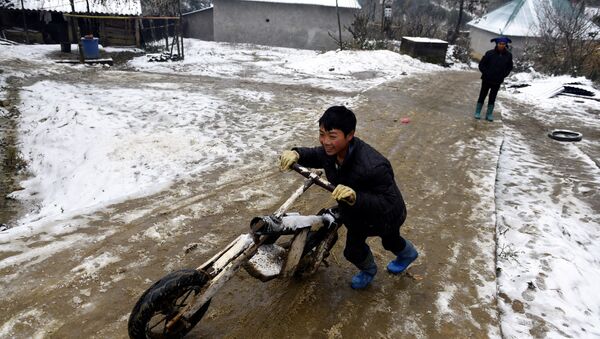 Cậu bé trên đường sau khi tuyết rơi ở Việt Nam - Sputnik Việt Nam