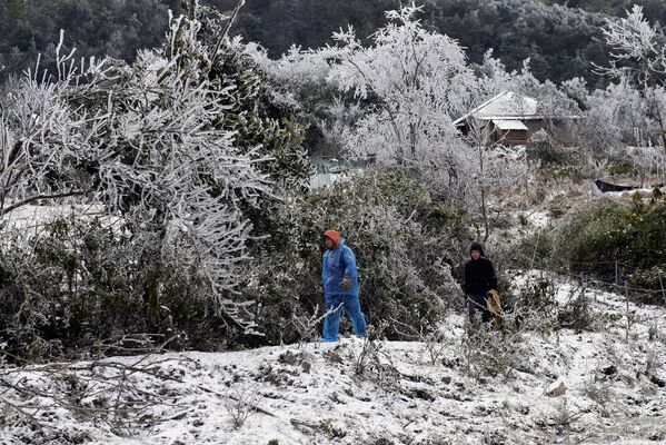 Tỉnh Lào Cai sau trận tuyết rơi ở Việt Nam - Sputnik Việt Nam