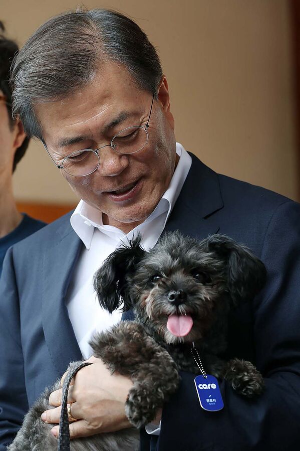 Tổng thống Hàn Quốc Moon Jae In với chú chó Tori ở Seoul - Sputnik Việt Nam