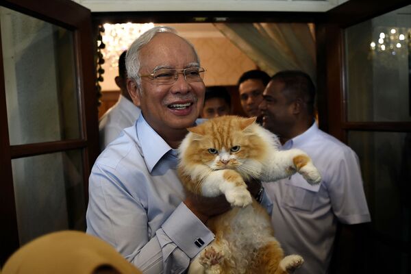 Thủ tướng Malaysia Najib Razak chụp ảnh với chú mèo Kiki của mình tại dinh thự của ông ở Kuala Lumpur - Sputnik Việt Nam