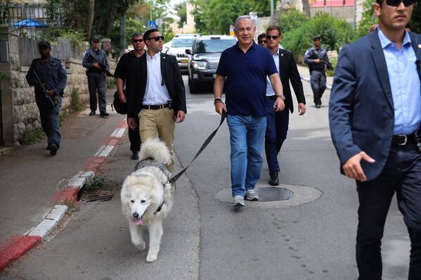 Thủ tướng Israel Benjamin Netanyahu với chú chó Kaia của ông - Sputnik Việt Nam