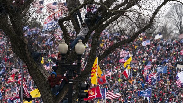 Người biểu tình ủng hộ đương kim Tổng thống Mỹ Donald Trump trước tòa nhà Quốc hội ở Washington - Sputnik Việt Nam