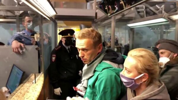 Alexei Navalny bị bắt giữ tại sân bay Sheremetyevo  - Sputnik Việt Nam