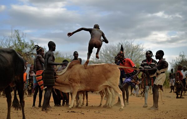 Người đàn ông trong lễ nhảy vượt qua lưng bò ở Ethiopia - Sputnik Việt Nam