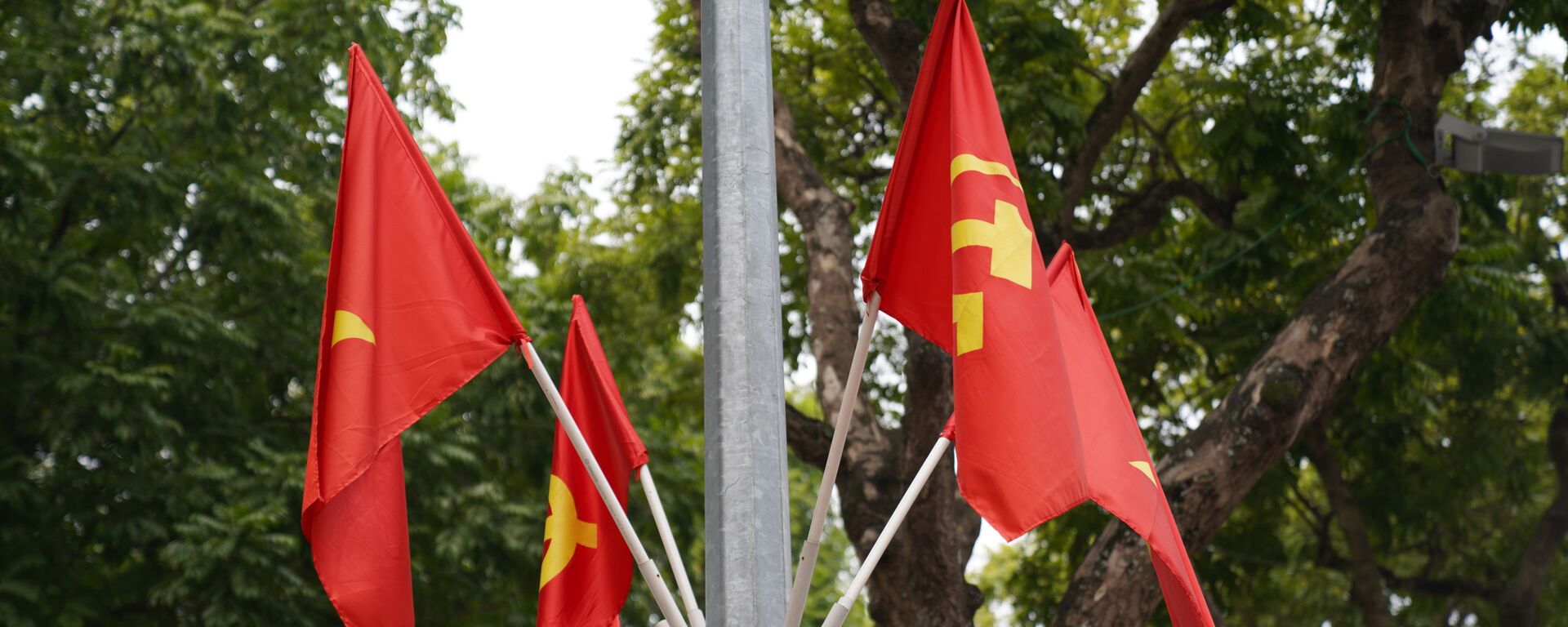Lá cờ việt nam - Sputnik Việt Nam, 1920, 26.01.2021