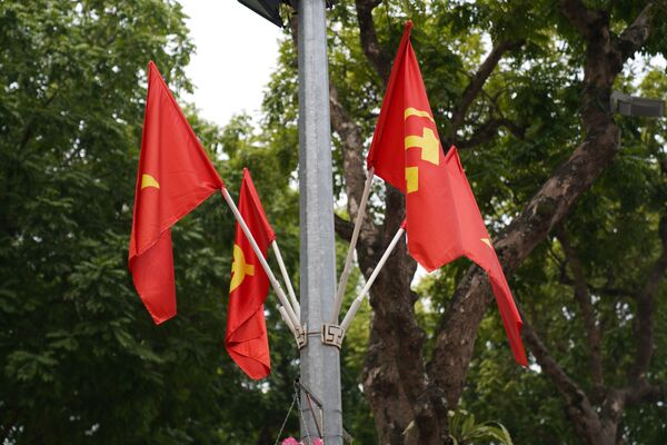 Quốc kỳ và Đảng kỳ Việt Nam trước Đại hội Đảng Cộng sản Việt Nam lần thứ 13 tại Hà Nội - Sputnik Việt Nam