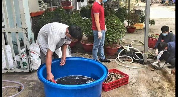 Phát hiện một cơ sở ngâm thịt ốc bươu với hóa chất công nghiệp trước khi bán Phát hiện một cơ sở ngâm thịt ốc bươu với hóa chất công nghiệp trước khi bán - Sputnik Việt Nam